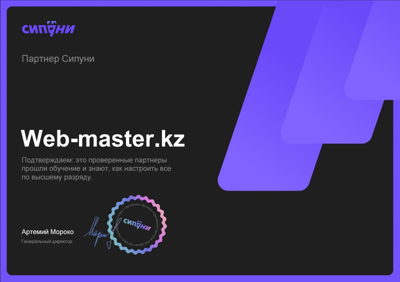 Бизнес-партнёр Компании "СИПУНИ" - фото WEB-MASTER